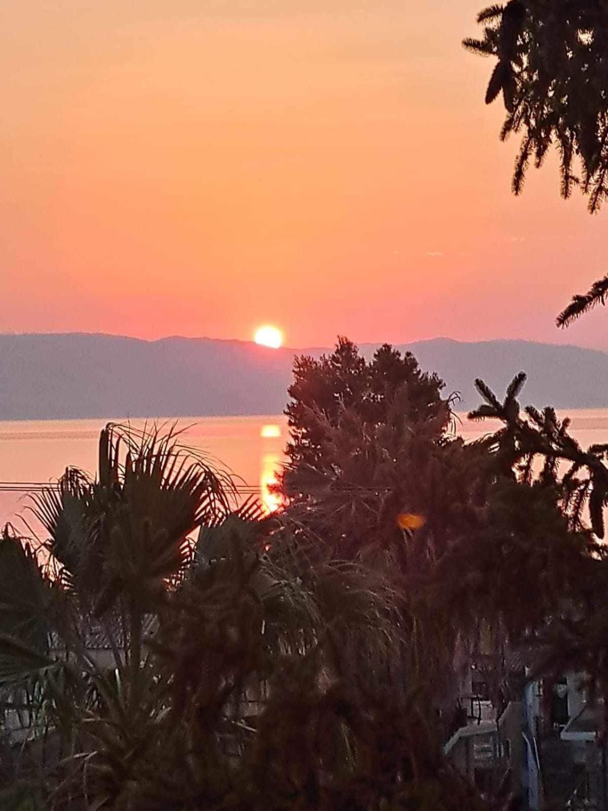 Corfu Sunflower Appartments Διαμέρισμα