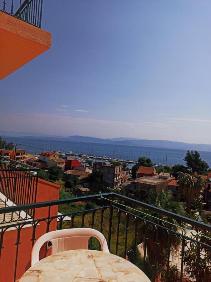 Corfu Sunflower